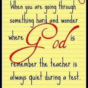 Meet your Posher, Evelyn